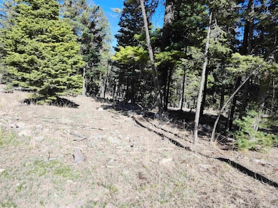 180 Big Dipper Rd unit 19, Cloudcroft, NM 88317 - photo 2