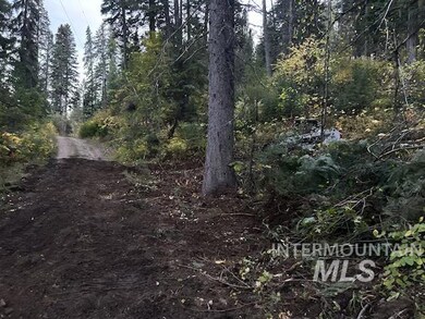 View of tree filled area