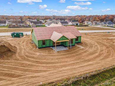 1123 Waymaker Ln, Waterloo, IL 62298 - photo 4