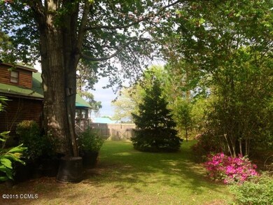 back yard
