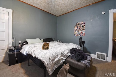 619 E Main St, Staunton, IL 62088 - photo 7