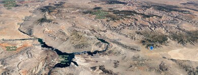 View of bird's eye view