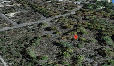 Screen Shot 2021-02-27 at 8.12.43 PM