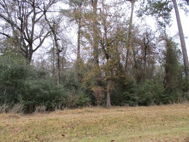 Lot 63 Willow Creek Rd, Hockley, TX 77447 - photo 5