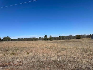 00 Mill Creek Ct unit Lot 6, Leighton, AL 35646 - photo 3