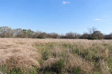 2345 County Road 315, Brazoria, TX 77422 - photo 3