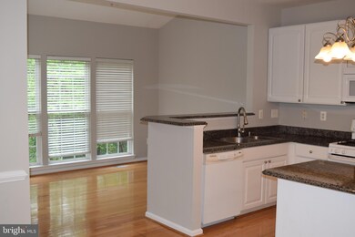 219 Arbor Vista Ln, Owings Mills, MD 21117 - photo 5