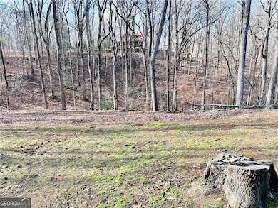 6134 Grant Ford Rd, Gainesville, GA 30506 - photo 4