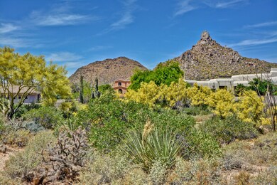 Gorgeous Vegetation