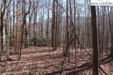 More of the flat building area.  Views of Bluff Mo