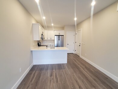 64 Tolman St unit 8, Dorchester, MA 02122 - photo 3