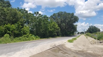 4137 New River Rd, Wesley Chapel, FL 33543 - photo 4