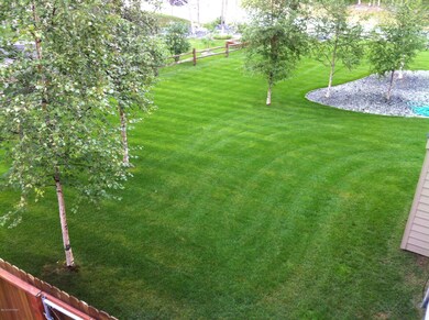 Front / side yard.jpg