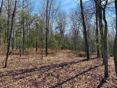 144 Old Ridge Rd, Pangburn, AR 72121 - photo 3