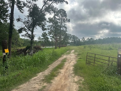 27286 U S 19, Ochlocknee, GA 31773 - photo 2