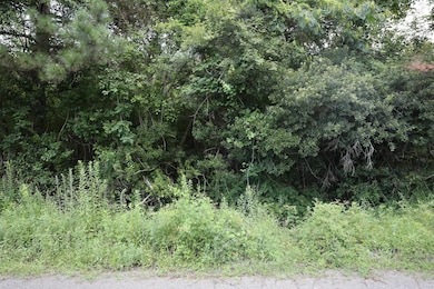 45 Partridge Rd, Kingstree, SC 29556 - photo 5