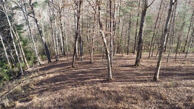 202 Indian Trail, Dahlonega, GA 30533 - photo 4