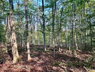 Past 400 East Hoosac St, Adams, MA 01220 - photo 4