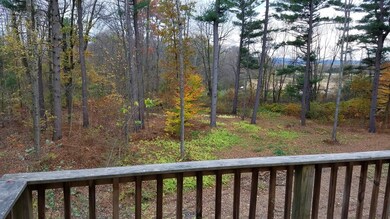 41 S Silver Ln, Sunderland, MA 01375 - photo 2