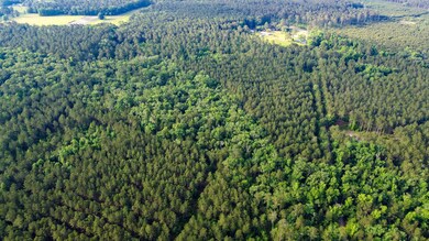 Sparks Lane SC Land for Sale-3