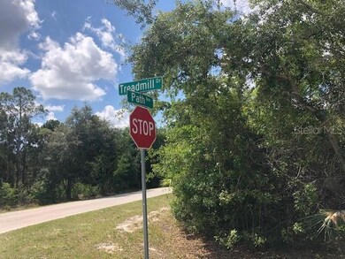 27262 Treadmill Dr, Punta Gorda, FL 33955 - photo 5