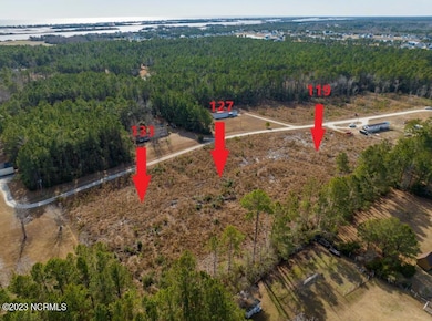 119 Douglas Dr, Holly Ridge, NC 28445 - photo 5