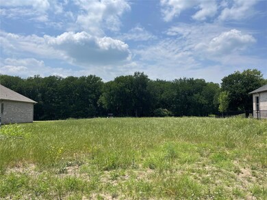 255 Bent Oak Dr, Pottsboro, TX 75076 - photo 4