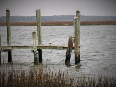 SAPELO ISLAND VIEWS