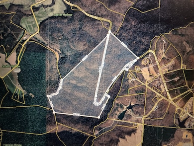 0 Clouse Hill Rd, Pelham, TN 37366 - photo 4