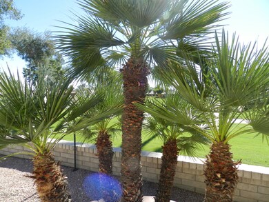 BACK YARD VIEW ON GOLF COURSE