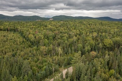 406-03 W Forest Lake Rd, Bethlehem, NH 03574 - photo 3