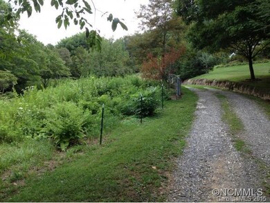 overgrown pasture