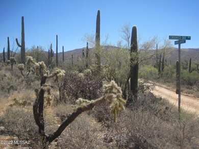 XX Derio, Marana, AZ 85658 - photo 6