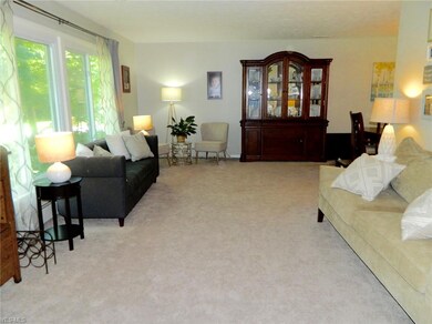 1255 Riley Rd, Aurora, OH 44202 - photo 3