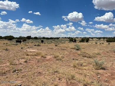 image9