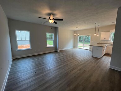 4171 Fringetree Loop, Aiken, SC 29803 - photo 2