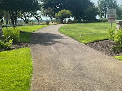 917 Wheatfield Ave, Sugar Grove, IL 60554 - photo 5