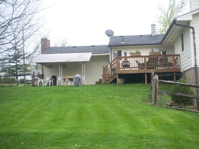 backyard and deck