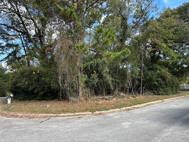 218 Broadmoor Dr, Huntsville, TX 77340 - photo 5