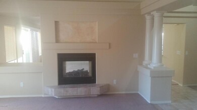 White Feather Living Fireplace