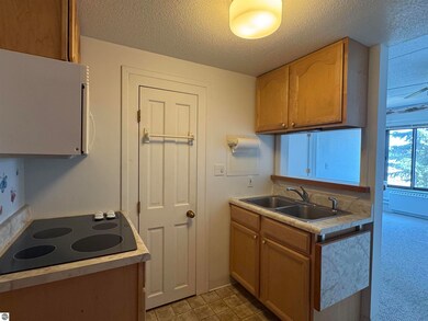 5951 N Skeel Ave unit 306, Oscoda, MI 48750 - photo 3