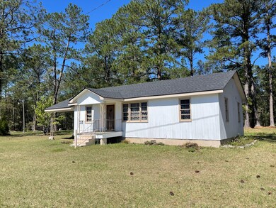 6689 Mcrae Hwy, Helena, GA 31037 - photo 4