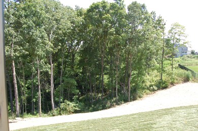 Great Backyard