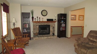 Wood Burning Fireplace