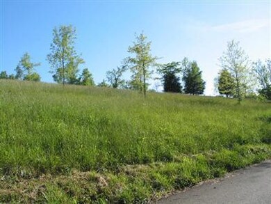 3 Bear Creek Rd, Lawrenceburg, KY 40342 - photo 4