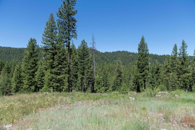 TBD 33 Clear Creek Rd, Cascade, ID 83611 - photo 7