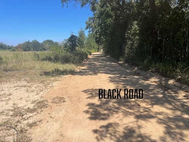 0 Black Rd unit 24725300, Marianna, FL 32446 - photo 6