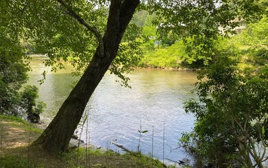 Additional View