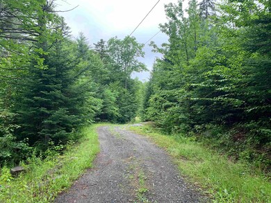 1726 Nh Route 118, Dorchester, NH 03266 - photo 6