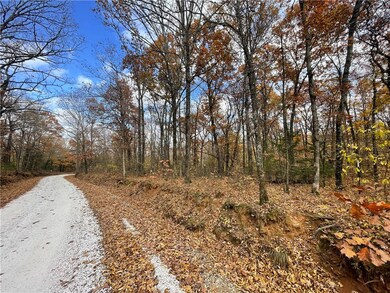 30.47 Acres Onda Mountain (Wc 213), West Fork, AR 72774 - photo 7
